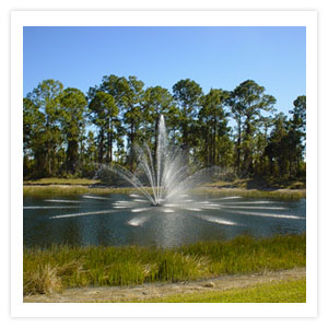Lake Fountains, Fort Myers FL &  Naples Florida