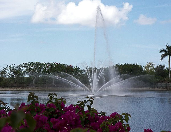 Lake Water Fountain